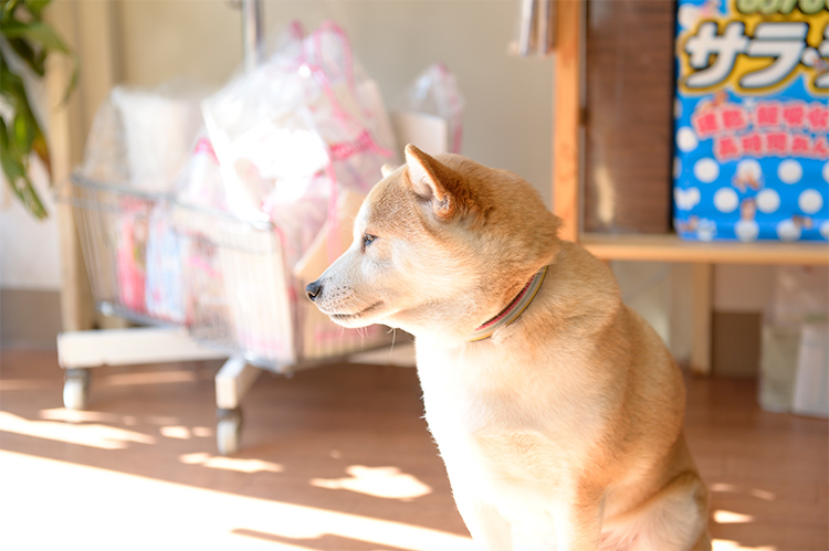 過去のことを叱ると逆効果になる場合があります