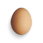 全卵